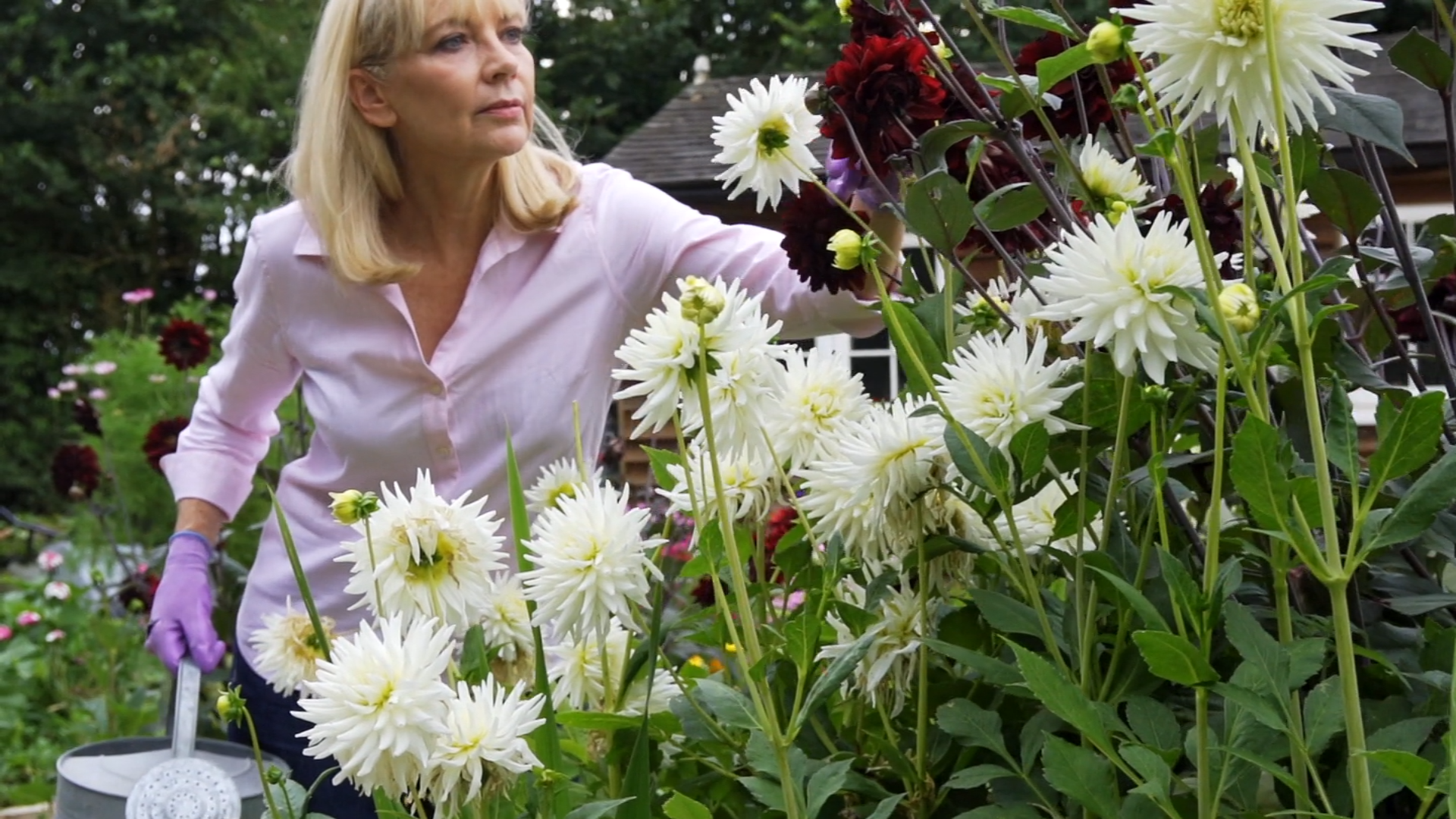 Rare Blooms for Extraordinary Gardens